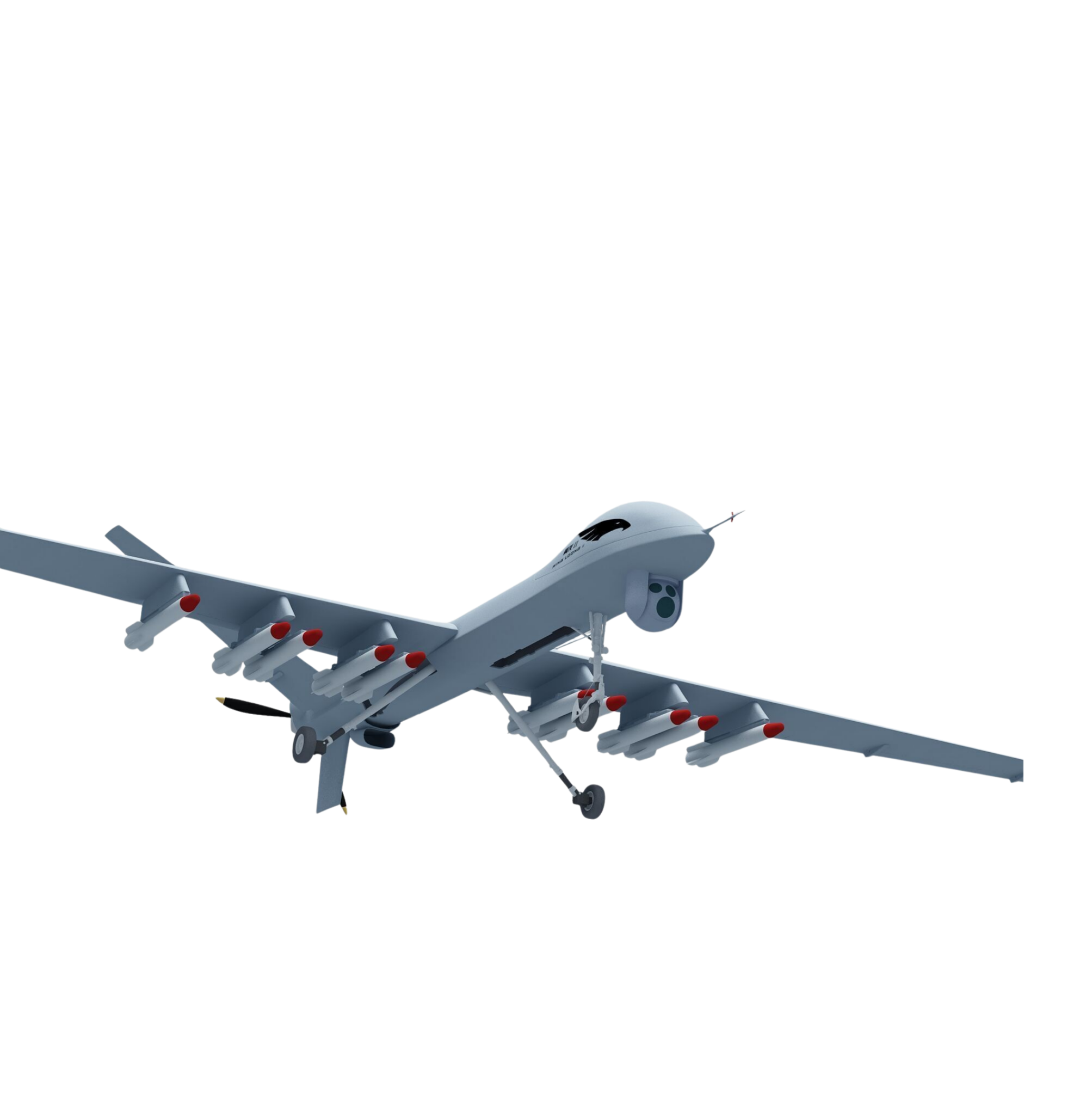 Simurg UAV
